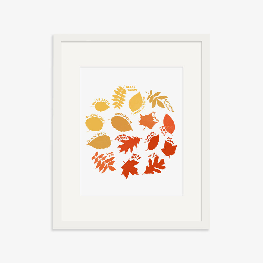 New England Fall Leaves Print