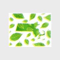 Massachusetts Map - Leaves Print
